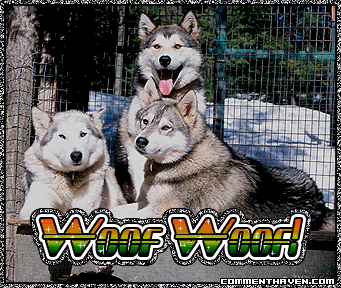 Luv Woof picture
