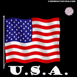 Flag Fireworks picture