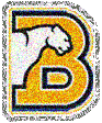 Birmingham Southern Panther picture