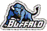 Buffalo Bears picture