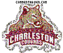 Charleston Cougars picture