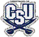 Charleston Southern Buccane picture