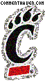 Cincinnati Bearcats picture
