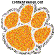 Clemson Tigers picture