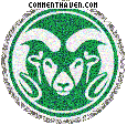 Colorado State Rams picture