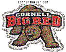 Cornell Big Red picture
