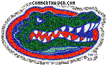 Florida Gators picture