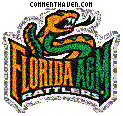 Florida Rattlers picture