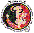 Florida State Seminoles picture