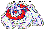 Fresno State Bulldogs picture