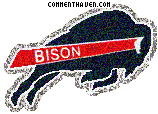 Howard Bison picture