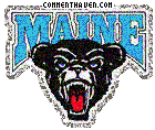 Maine Black Bears picture
