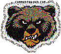 Montana Grizzlies picture