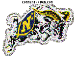 Navy Midshipmen picture