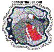 Nc Asheville Bulldogs picture