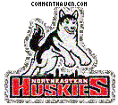 Northeastern Huskies picture