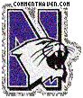 Northwestern Wildcats picture