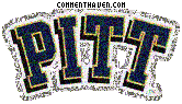 Pittsburgh Panthers picture