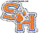 Sam Houston State Bearkats picture