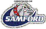 Samford Bulldogs picture