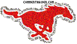 Southern Methodist Mustangs picture