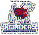 St. Francis Terriers picture