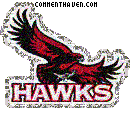 St. Josephs Hawks picture