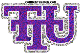 Tennessee Tech Golden Eagle picture