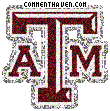 Texas Am Aggies picture
