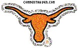 Texas Longhorns picture
