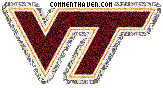 Virginia Tech Hokies picture