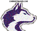 Washington Huskies picture