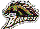 Western Michigan Broncos picture
