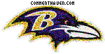 Baltimore Ravens picture