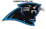 Carolina Panthers picture