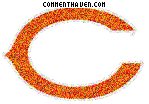 Chicago Bears picture