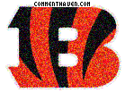 Cincinnati Bengals picture
