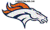 Denver Broncos picture