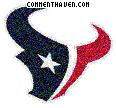 Houstan Texans picture
