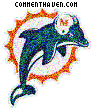 Miami Dolphins picture