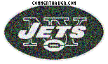 New York Jets picture