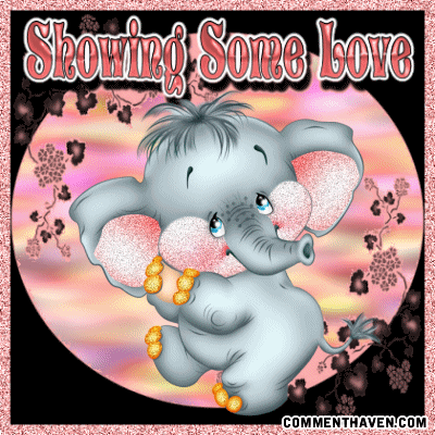 Sl Elephant picture for facebook