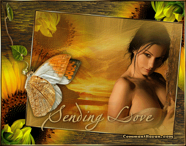Sunflower Love picture