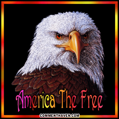 Eagle America picture for facebook