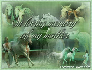 Horses Memory Mother picture for facebook