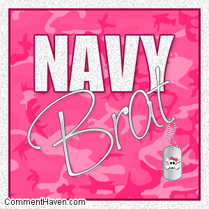 Navy Brat Pink Camo picture for facebook