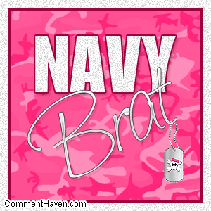Navy Brat Pink Camo picture