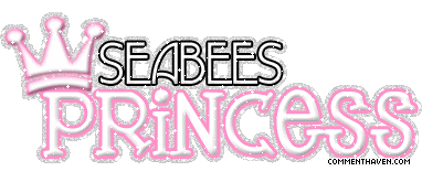 Princess Seabees picture for facebook