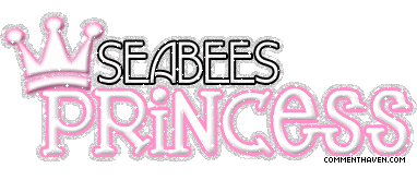 Princess Seabees picture