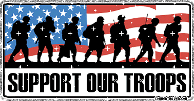 Support Our Troops Us picture
